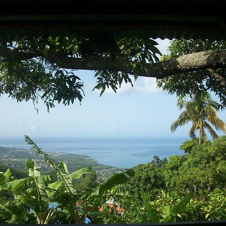 Mango Tree Lodge Bouillante Bagian luar foto