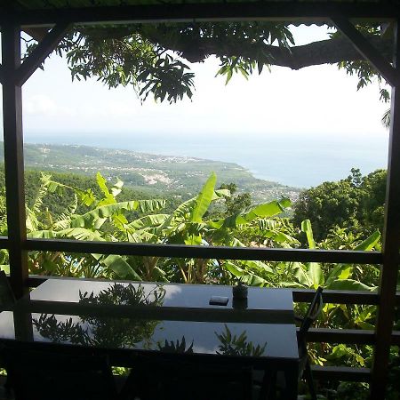 Mango Tree Lodge Bouillante Bagian luar foto